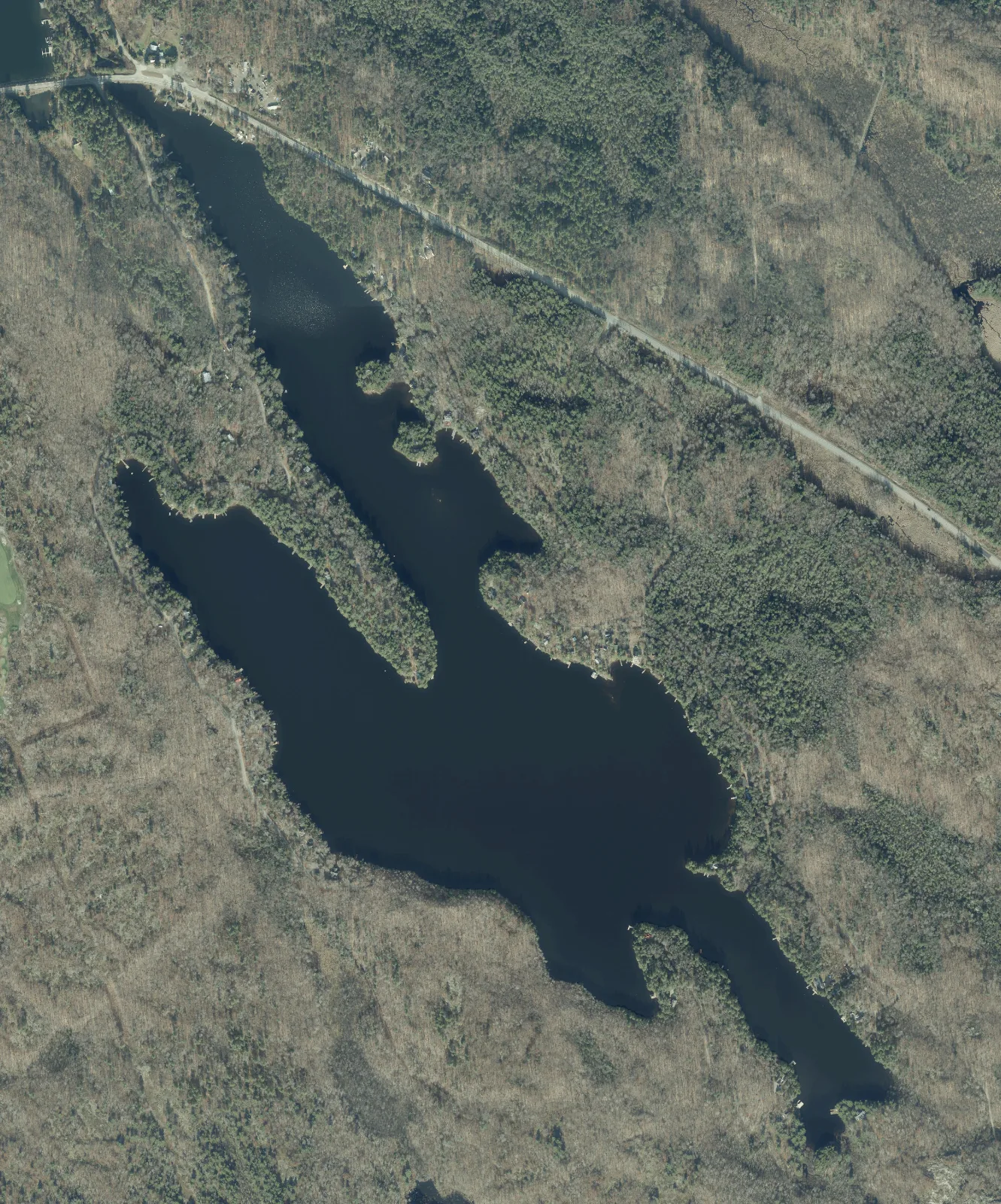 Aerial photograph of Bass Lake.