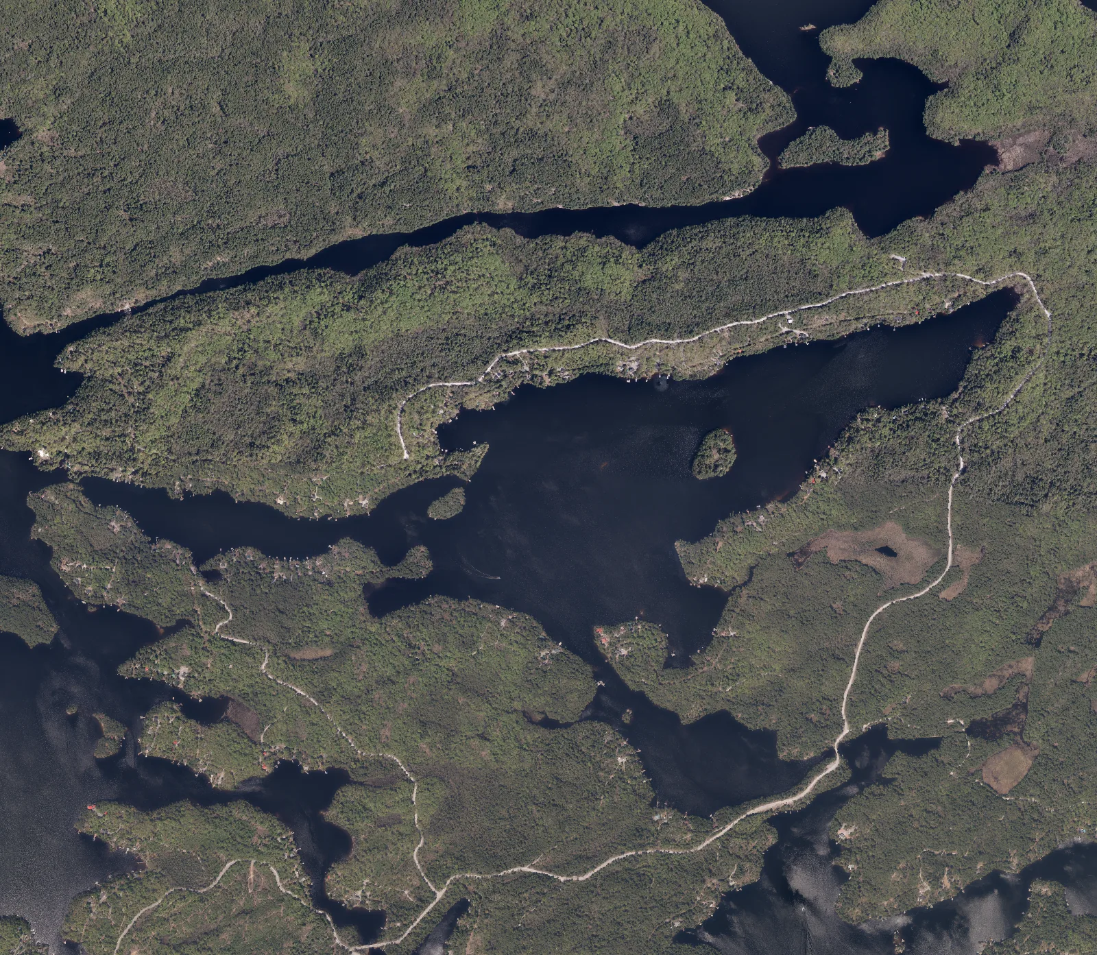 Aerial photograph of Beaver Lake.