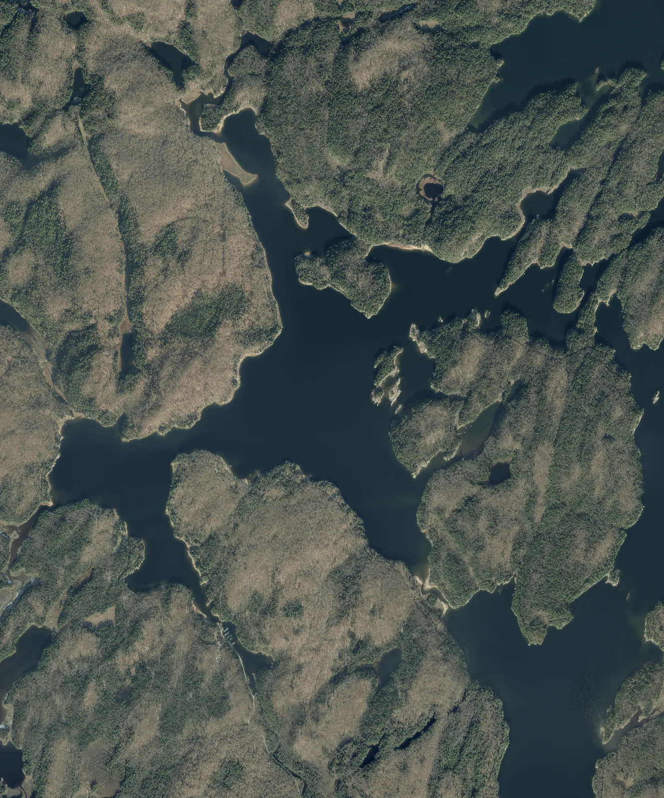 Aerial photograph of Big Hawk Lake.