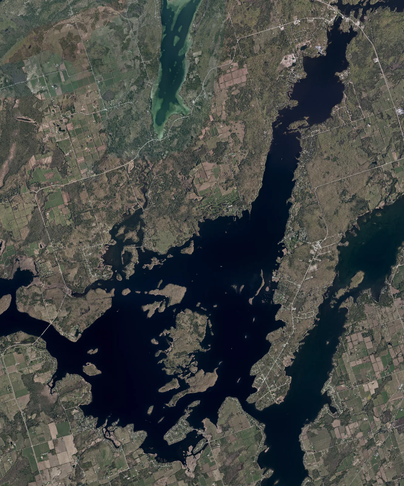 Aerial photograph of Buckhorn Lake.