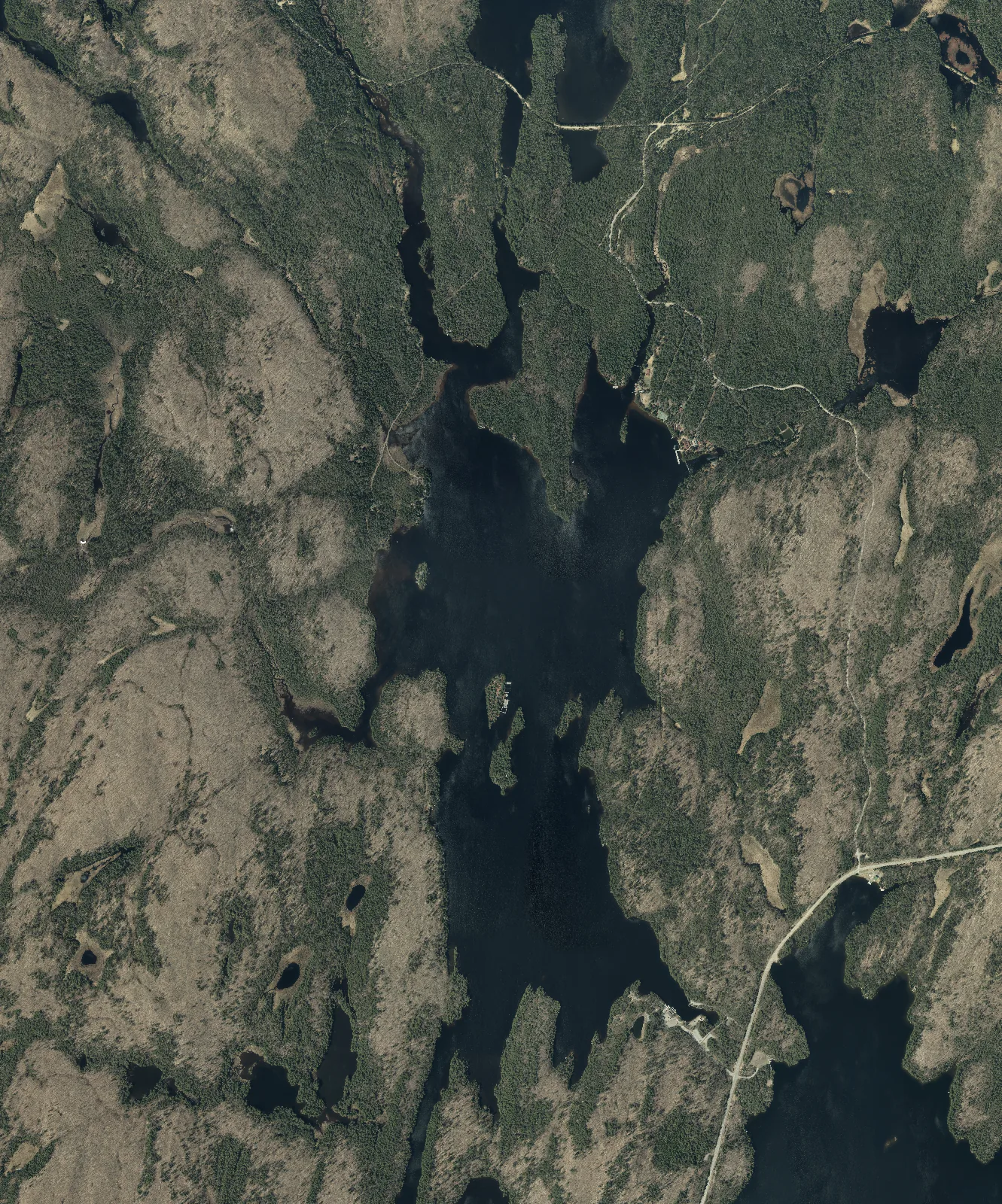Aerial photograph of Canoe Lake.