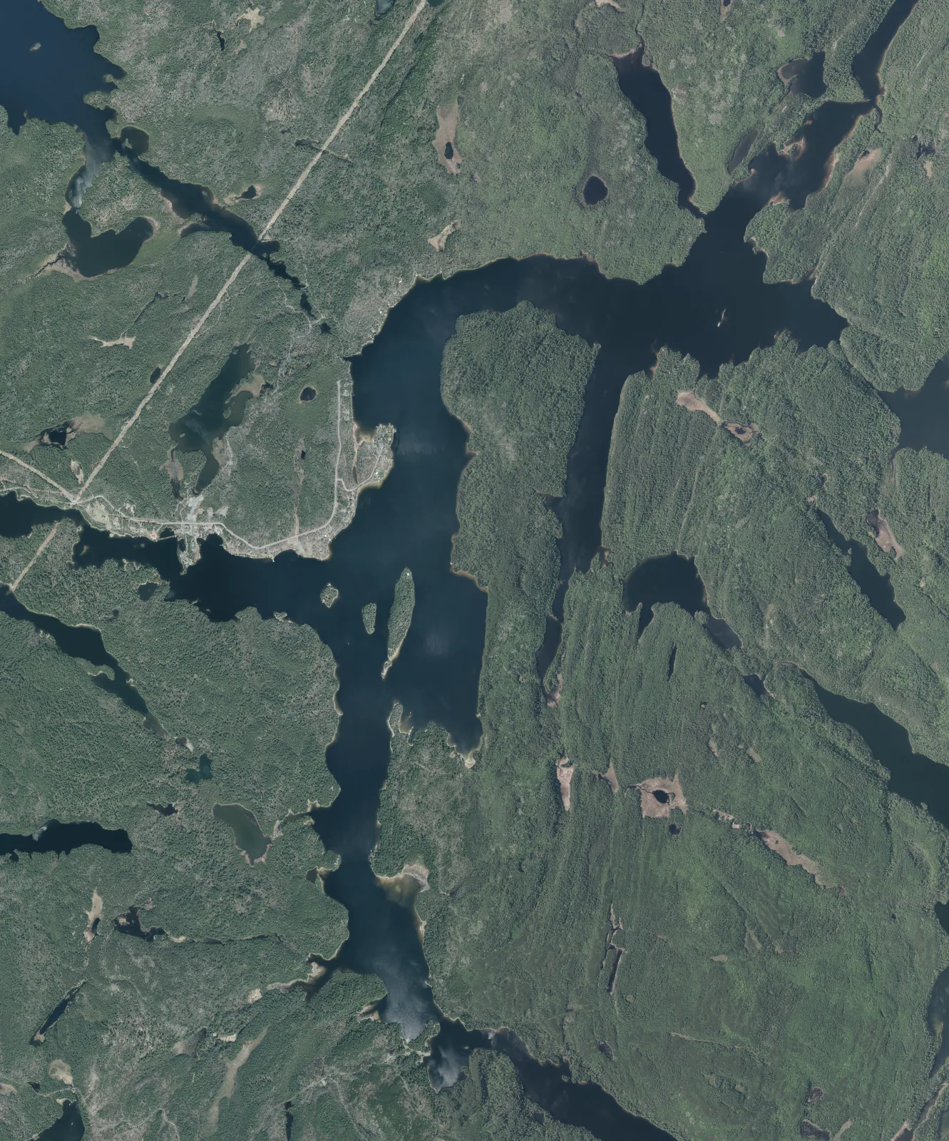 Aerial photograph of Cassels Lake.