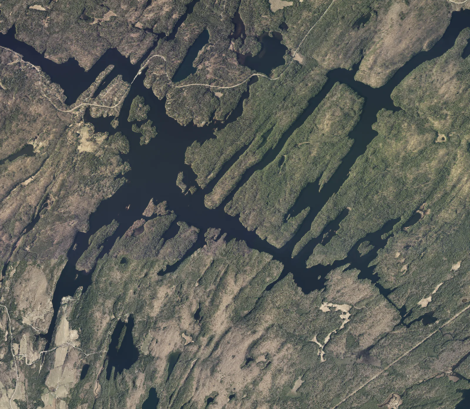 Aerial photograph of Centennial Lake.