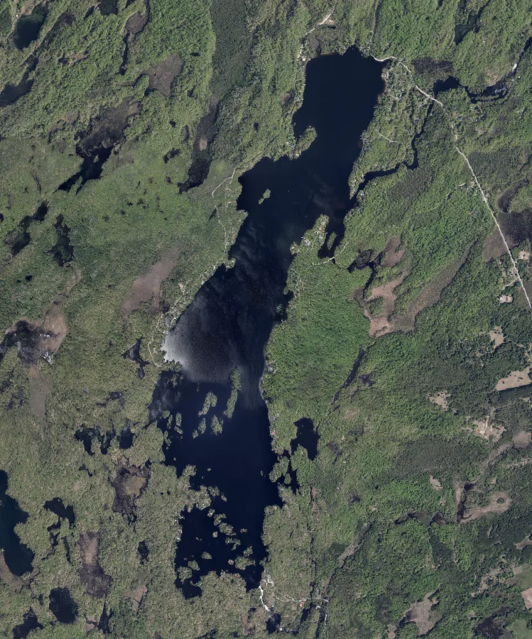 Aerial photograph of Cordova Lake.