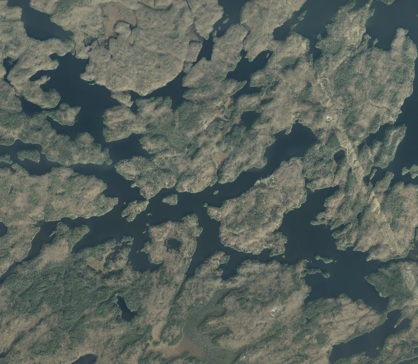 Aerial photograph of Crane Lake.