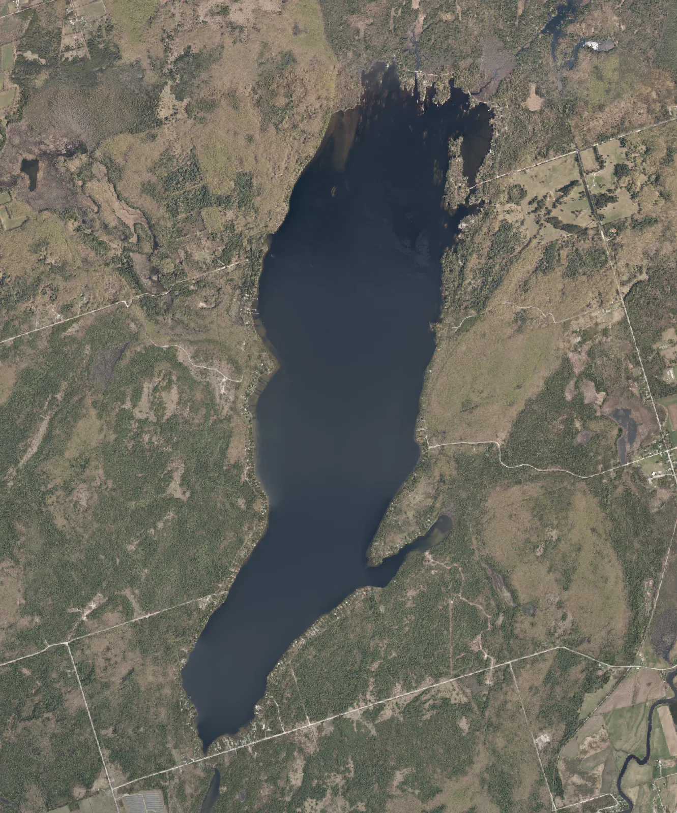 Aerial photograph of Four Mile Lake.