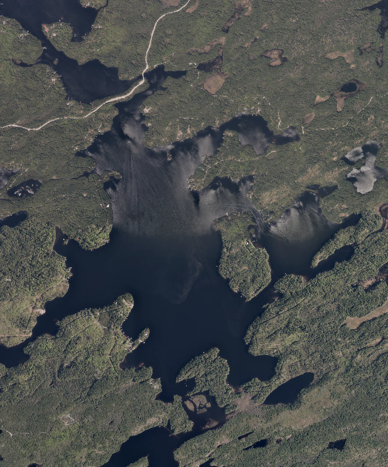 Aerial photograph of Gold Lake.