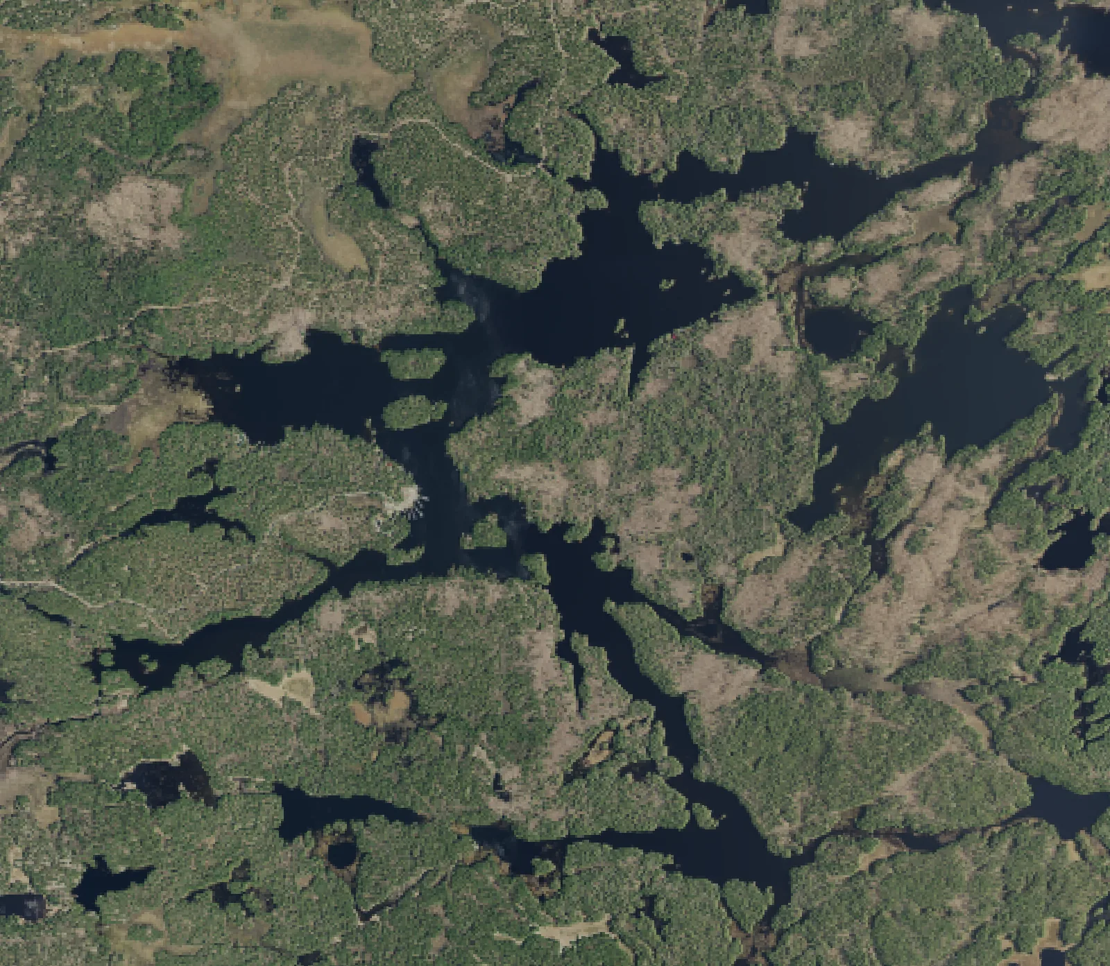 Aerial photograph of Harris Lake.