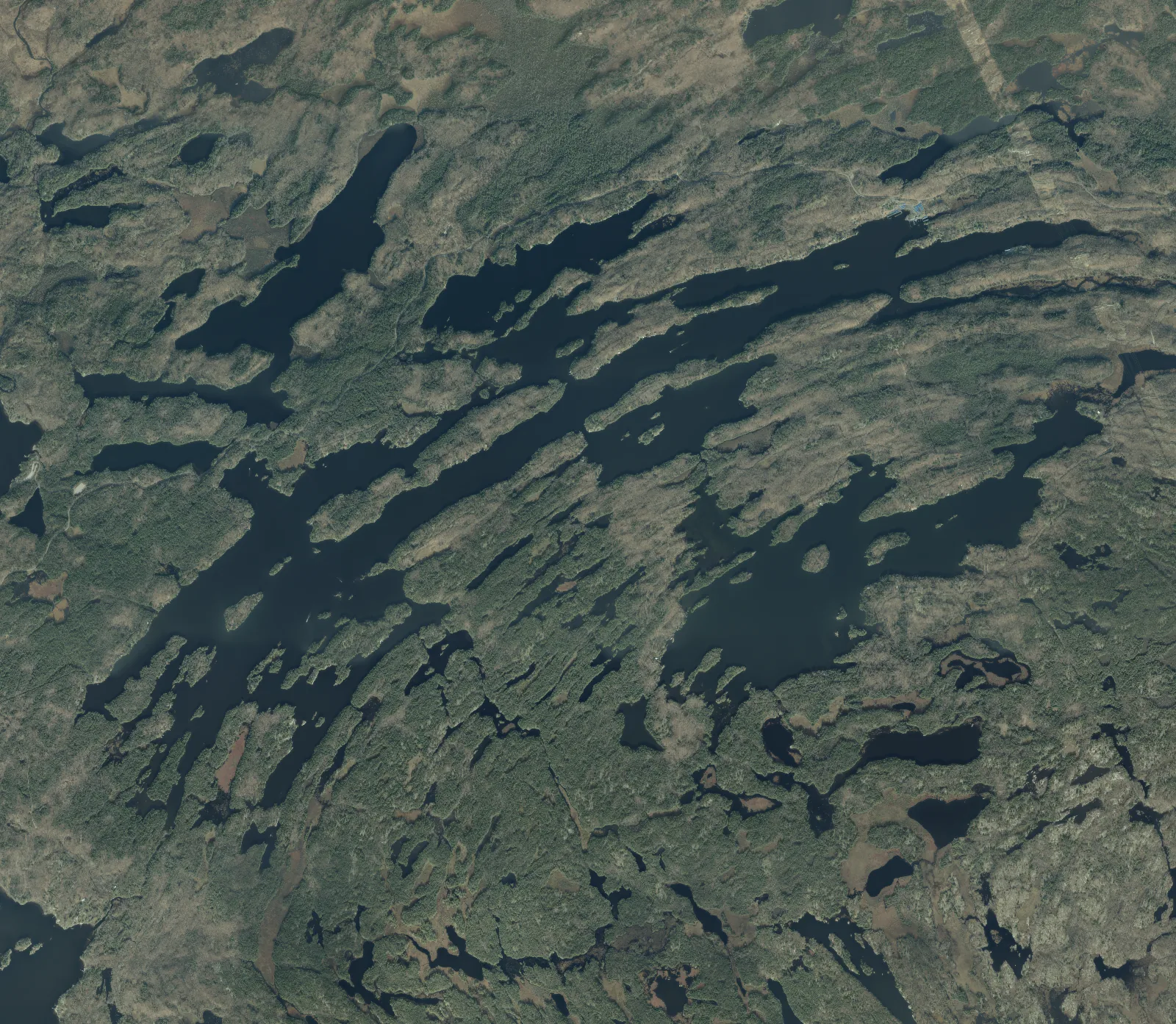 Aerial photograph of Healey Lake.