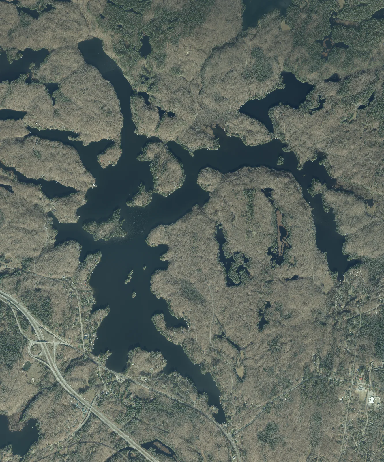 Aerial photograph of Horseshoe Lake.