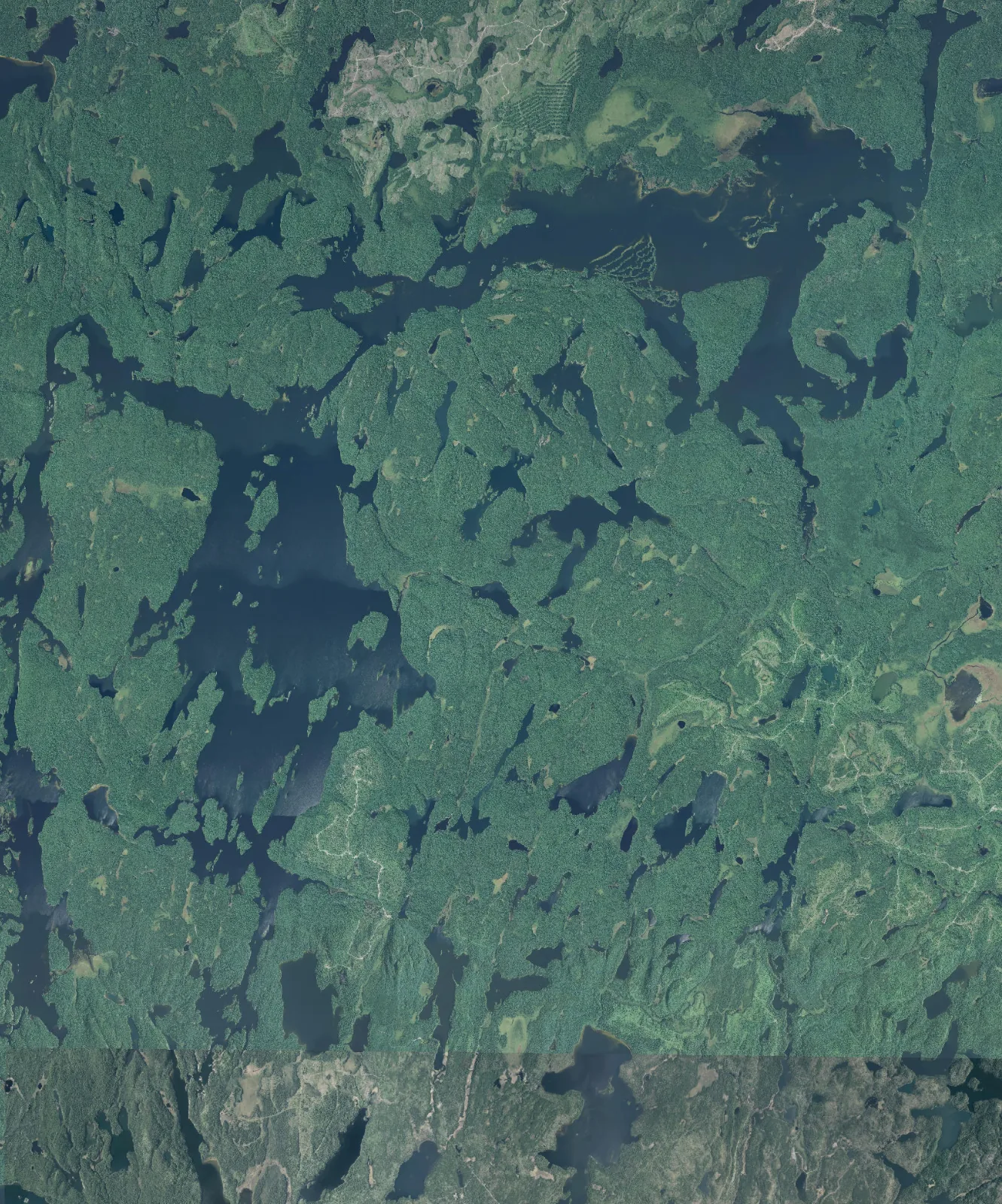 Aerial photograph of Lady Evelyn Lake.