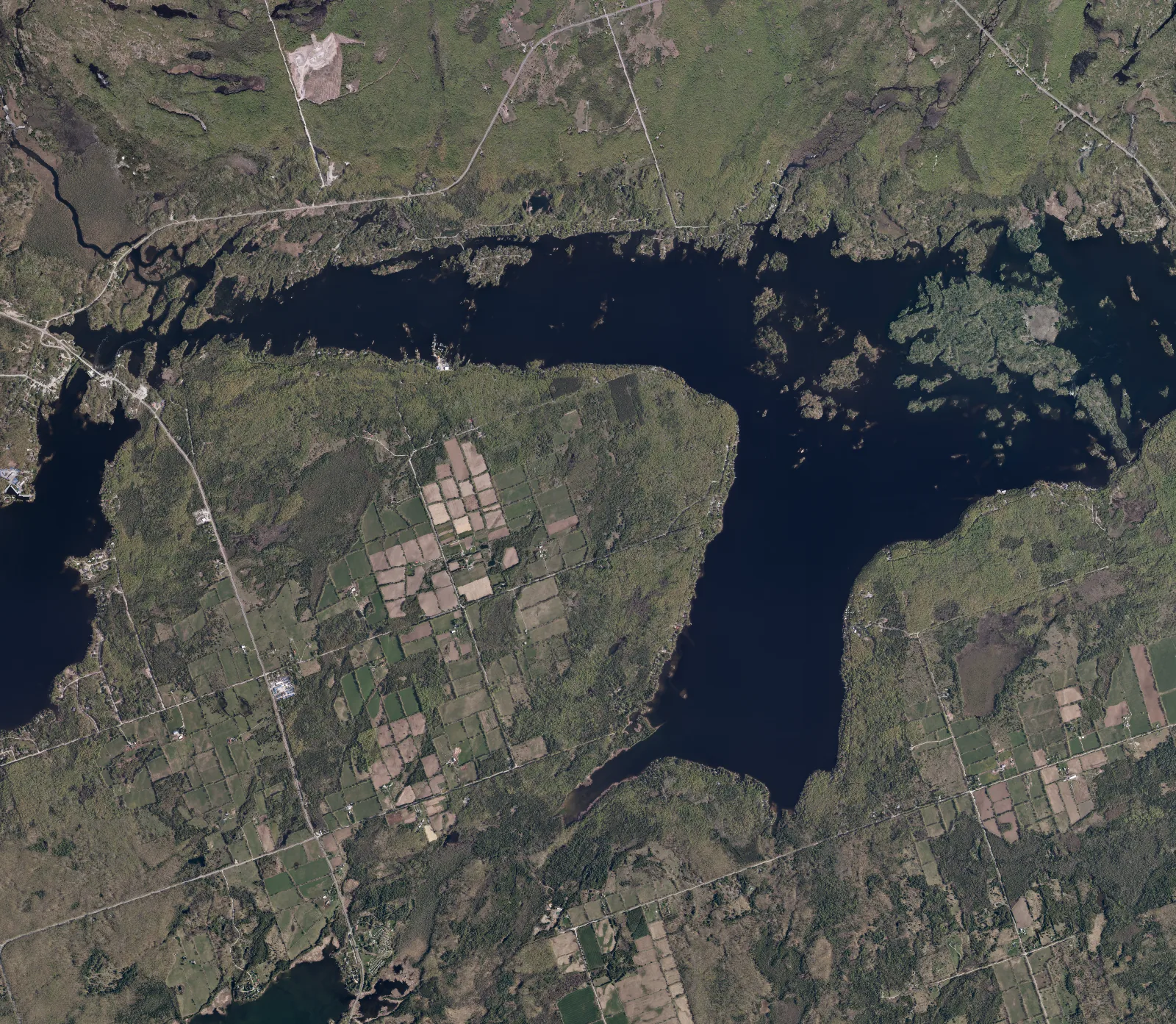 Aerial photograph of Lower Buckhorn Lake.