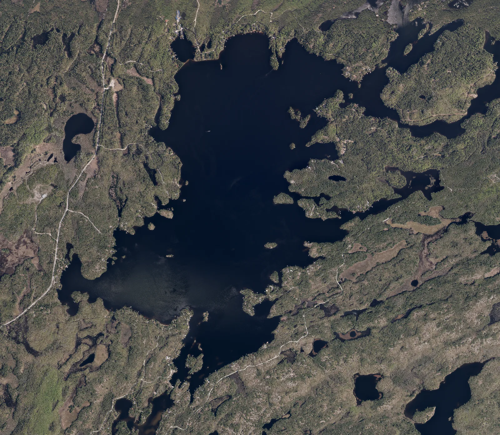 Aerial photograph of Mississagua Lake.