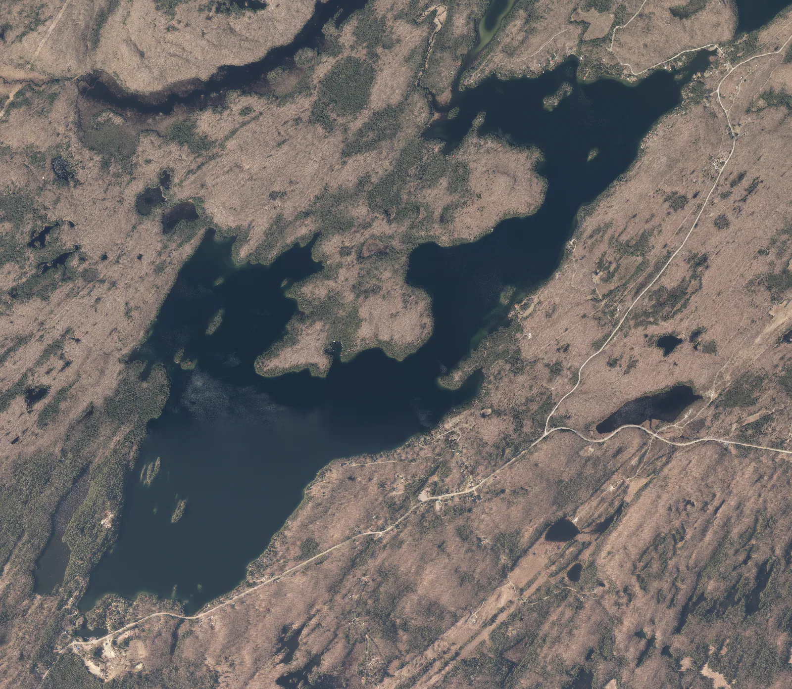 Aerial photograph of Palmerston Lake.