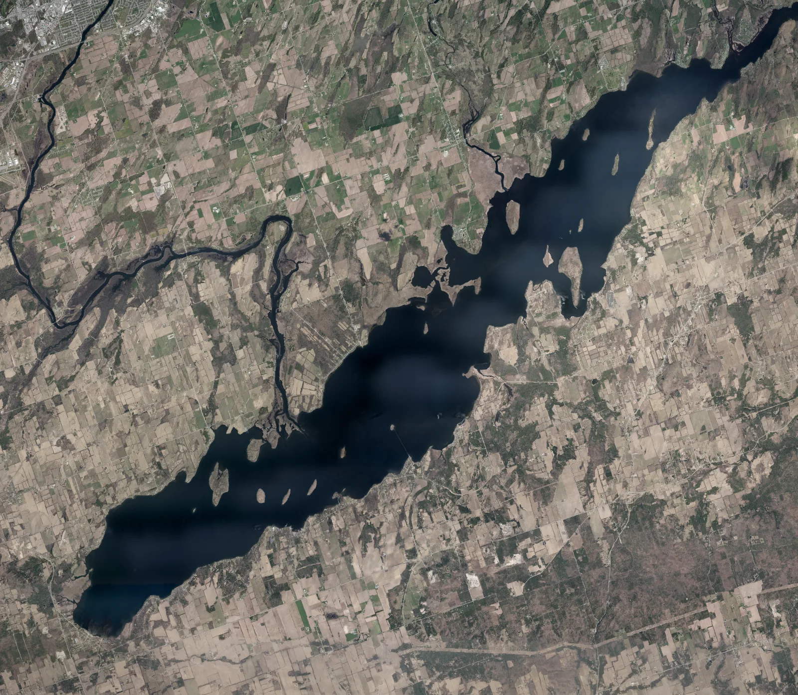 Aerial photograph of Rice Lake.