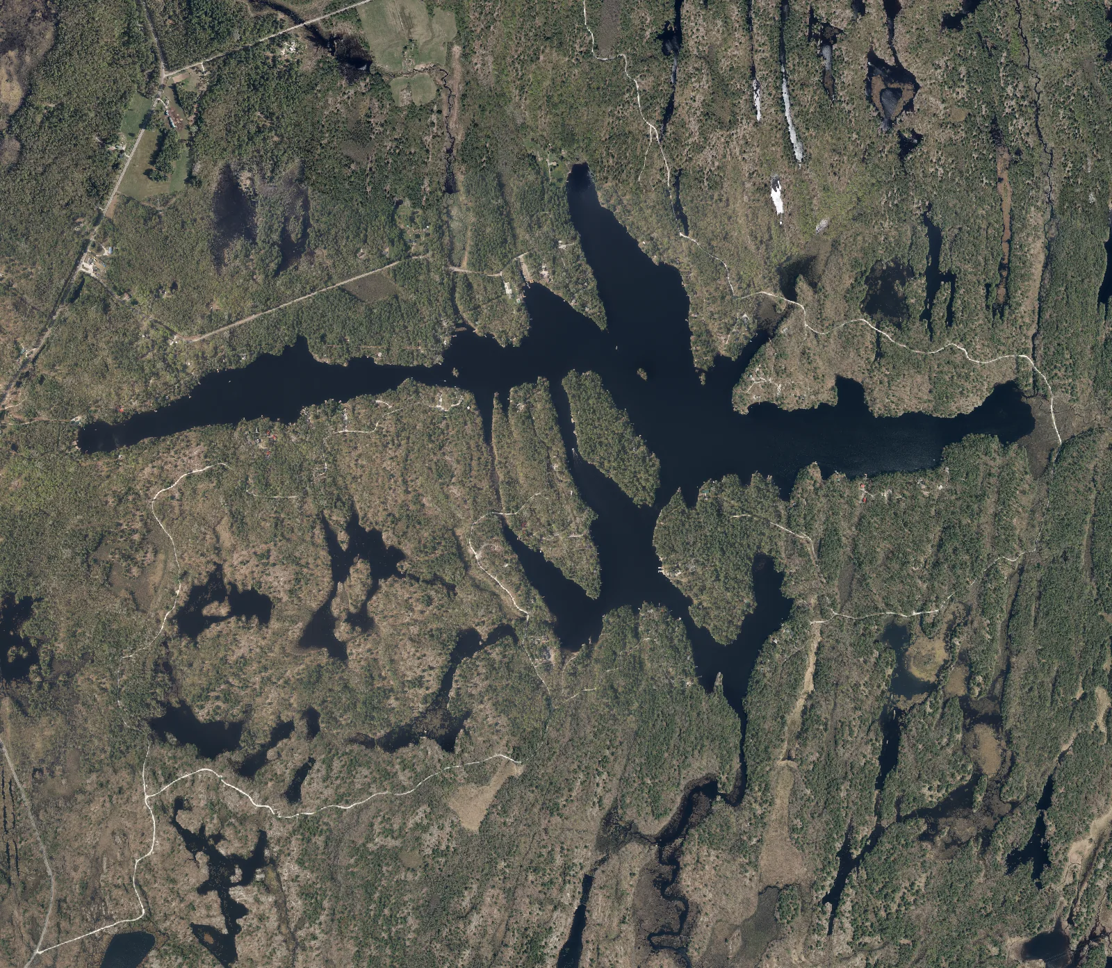 Aerial photograph of Riley Lake.