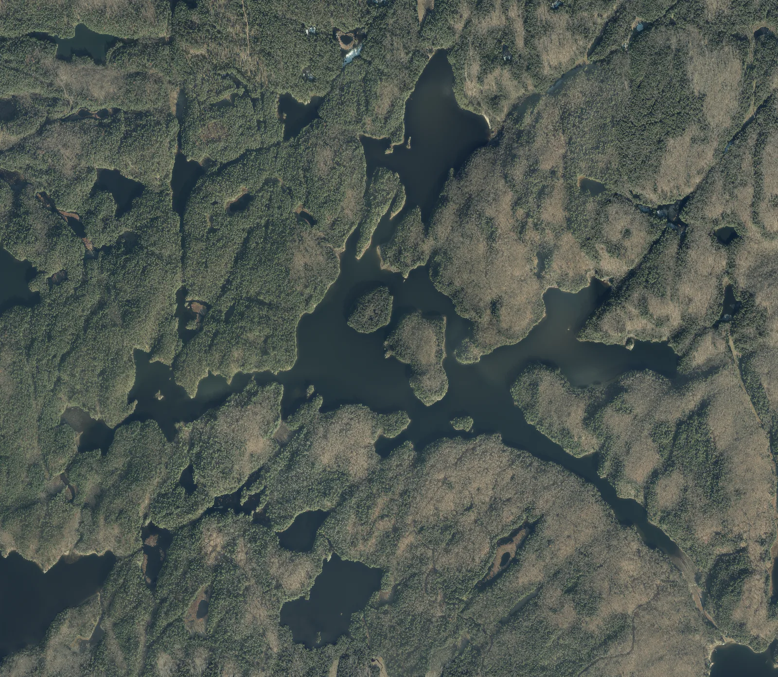 Aerial photograph of Sherborne Lake.