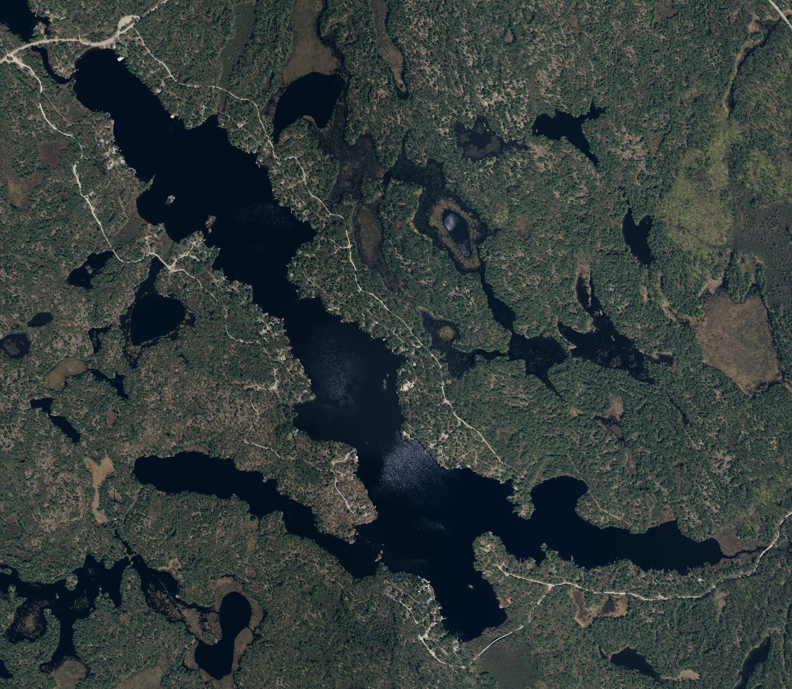 Aerial photograph of Tea Lake.