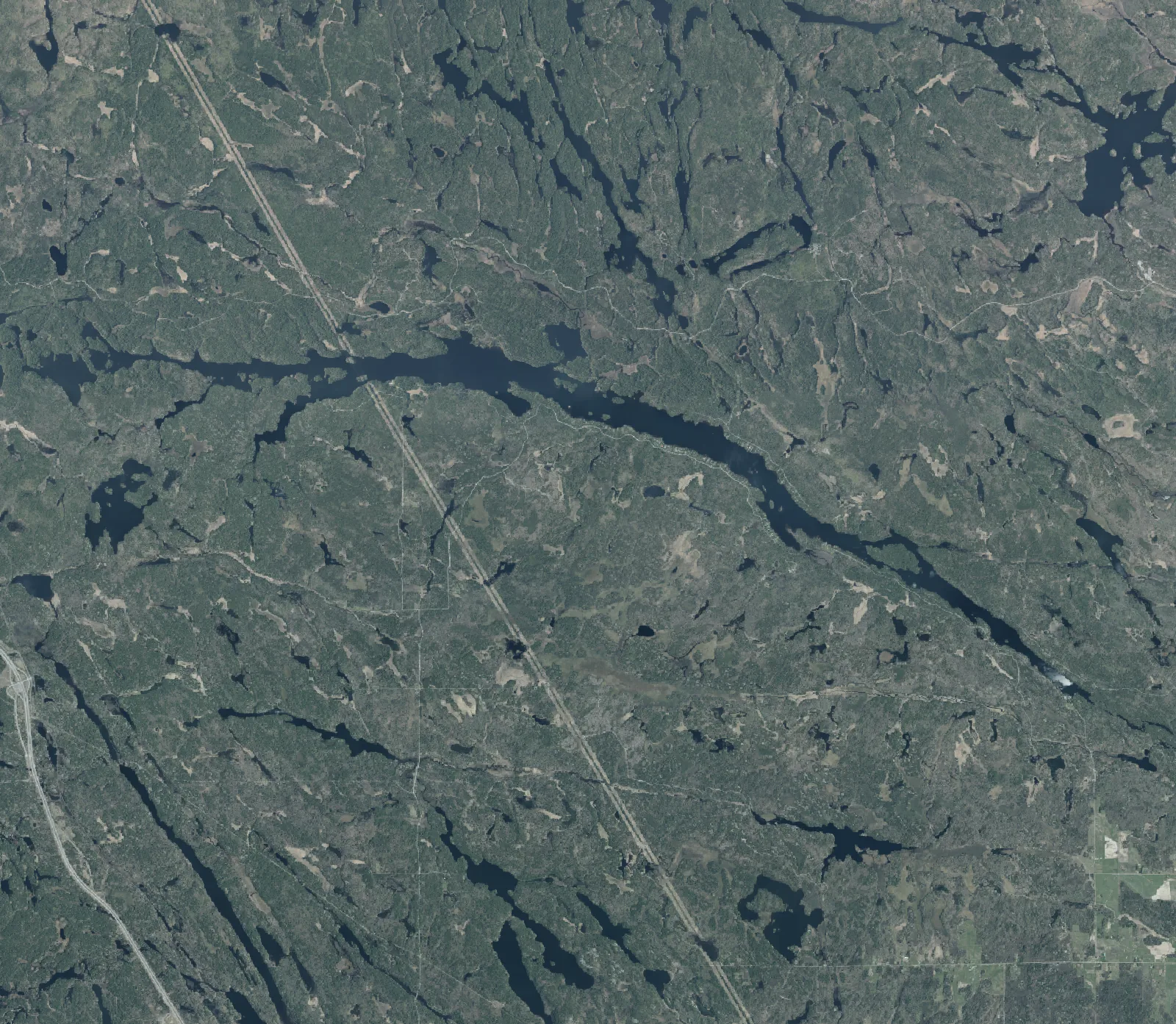 Aerial photograph of Trout Lake.