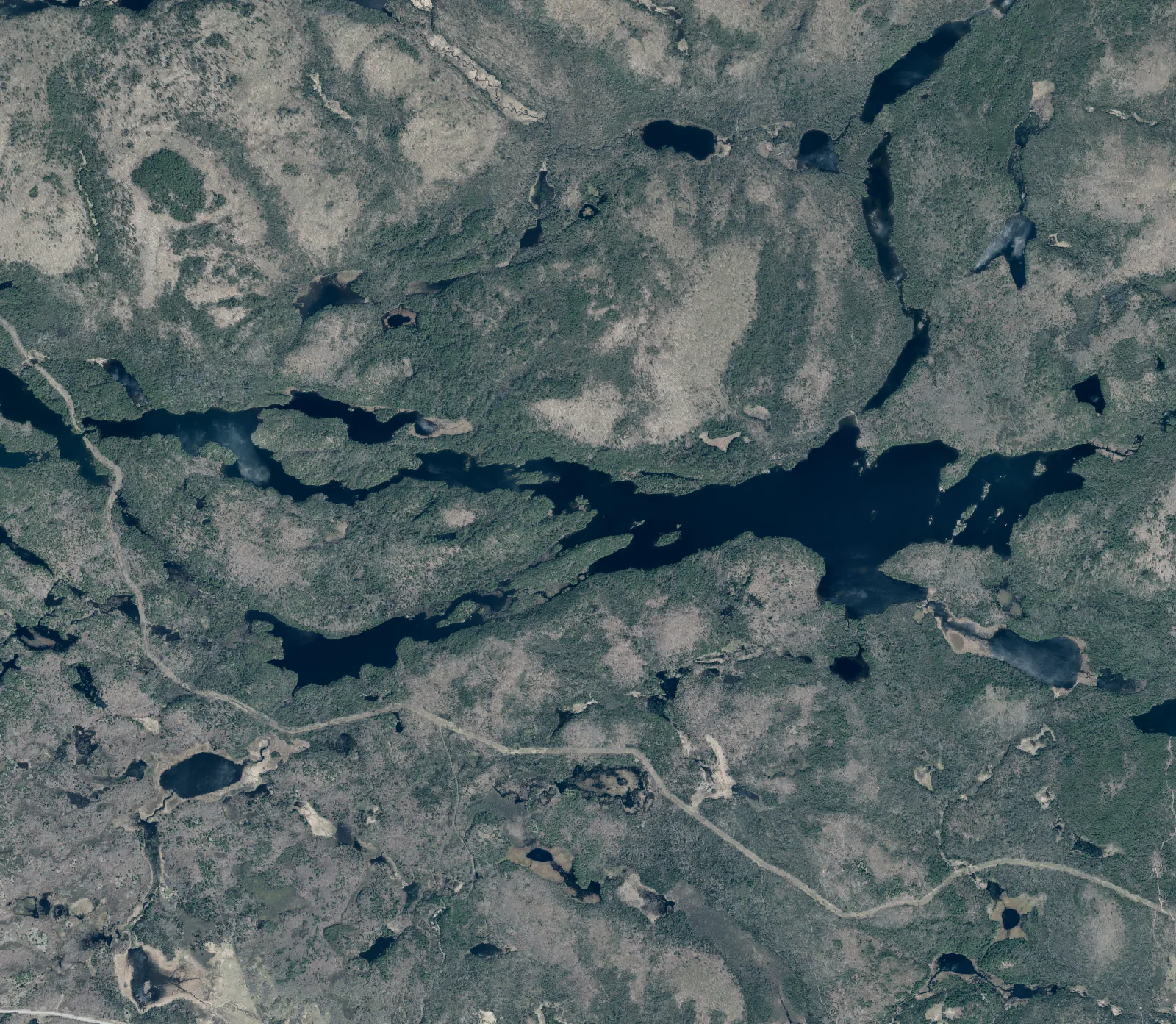 Aerial photograph of Turtle Lake.