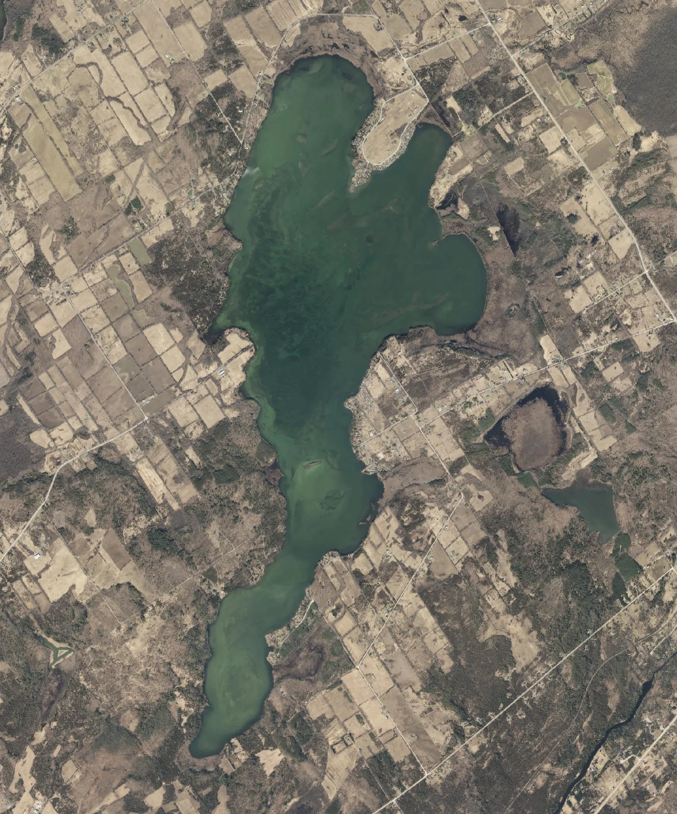 Aerial photograph of Varty Lake.