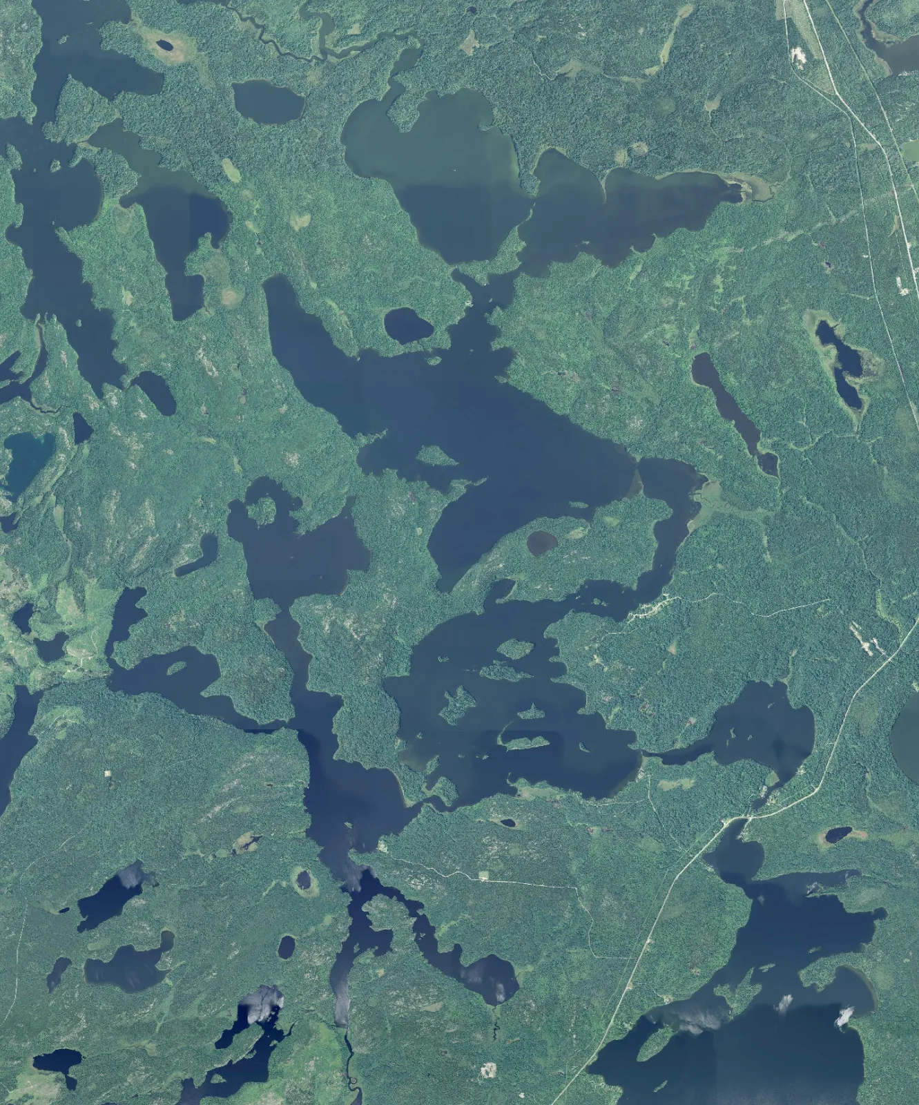 Aerial photograph of Wabaskang Lake.